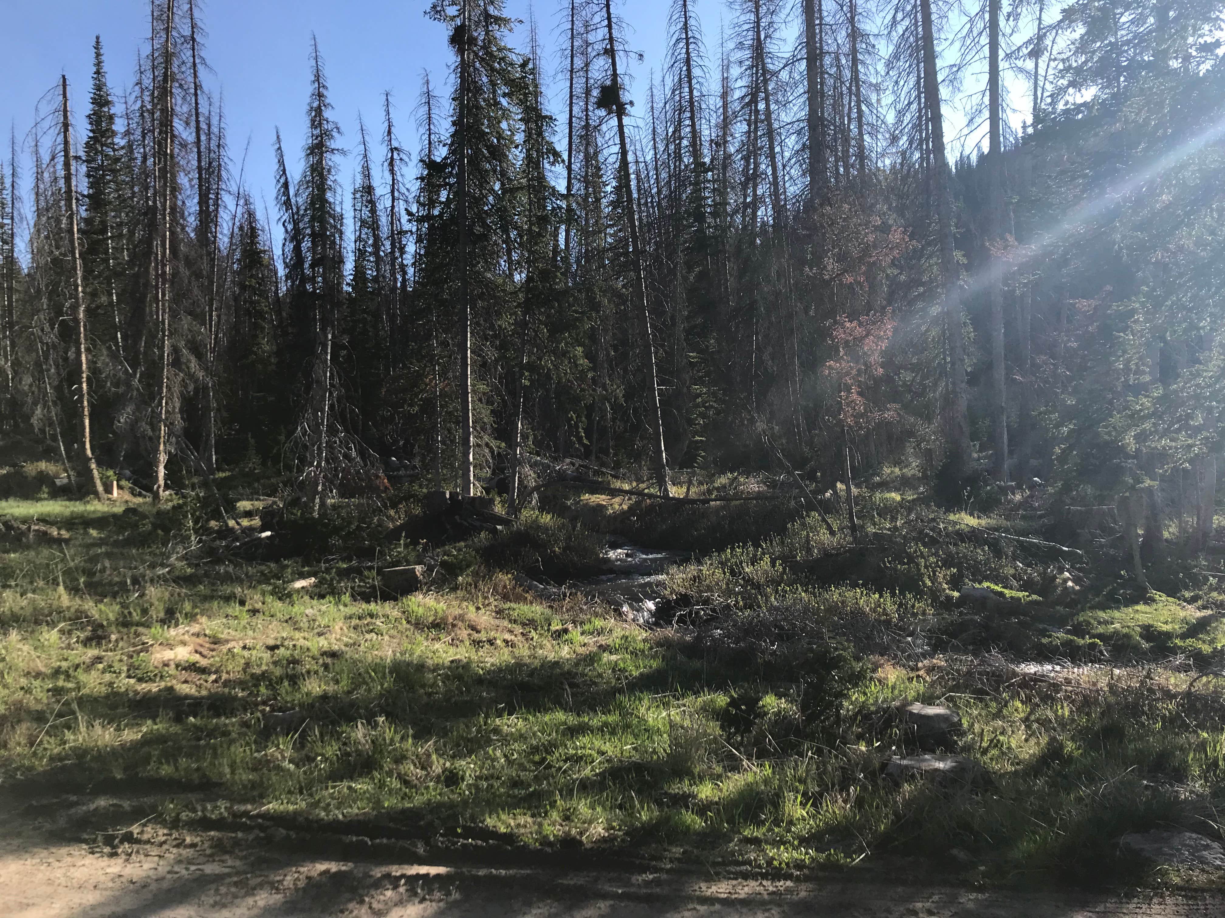 Camper-submitted photo at Dispersed Camping--Mill Hollow/Utah FR054 near Coalville, UT