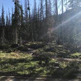 Review photo of Dispersed Camping--Mill Hollow/Utah FR054 by Jenny R., June 10, 2018
