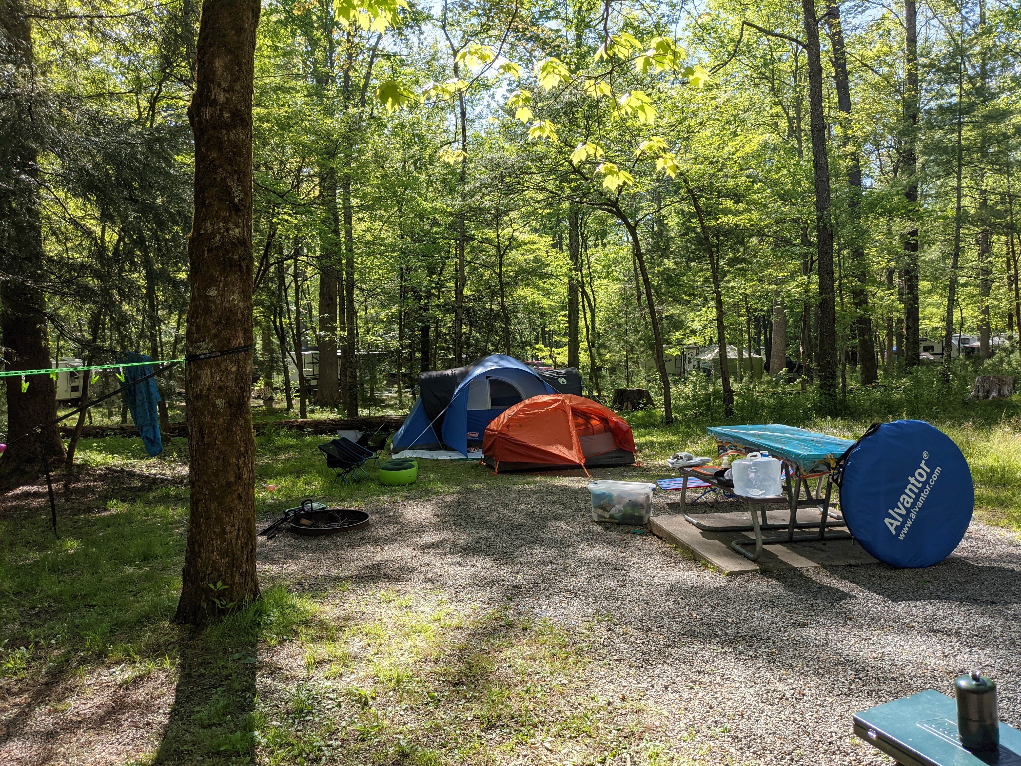 Kimberly's photo at Cades Cove Campground near Maryville, TN