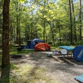 Review photo of Cades Cove Campground by Kimberly , June 19, 2021