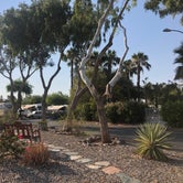Review photo of Black Canyon Ranch RV Resort by Kelly M., June 19, 2021