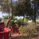 Review photo of Black Canyon Ranch RV Resort by Kelly M., June 19, 2021