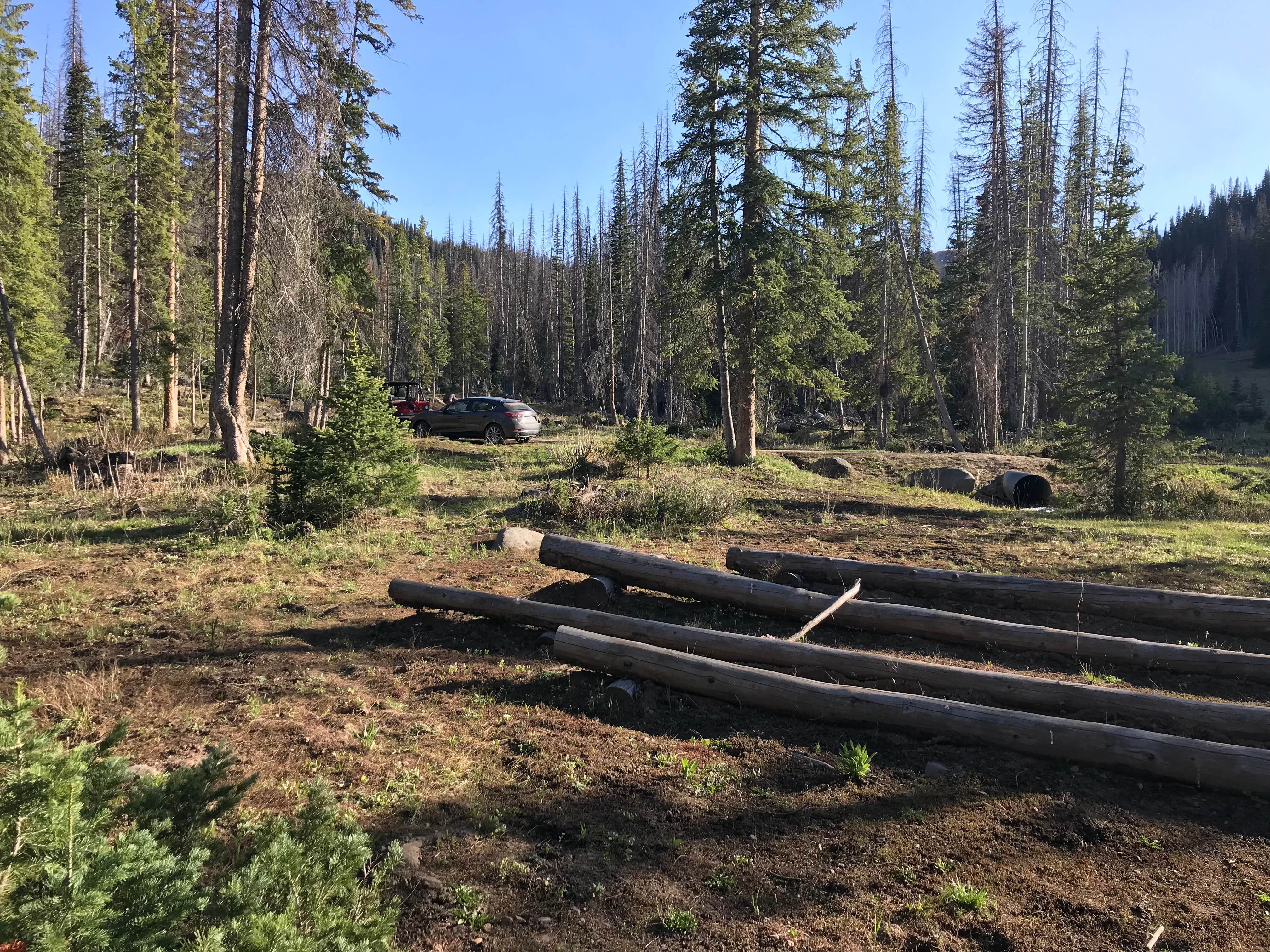 Camper-submitted photo at Dispersed Camping--Mill Hollow/Utah FR054 near Coalville, UT