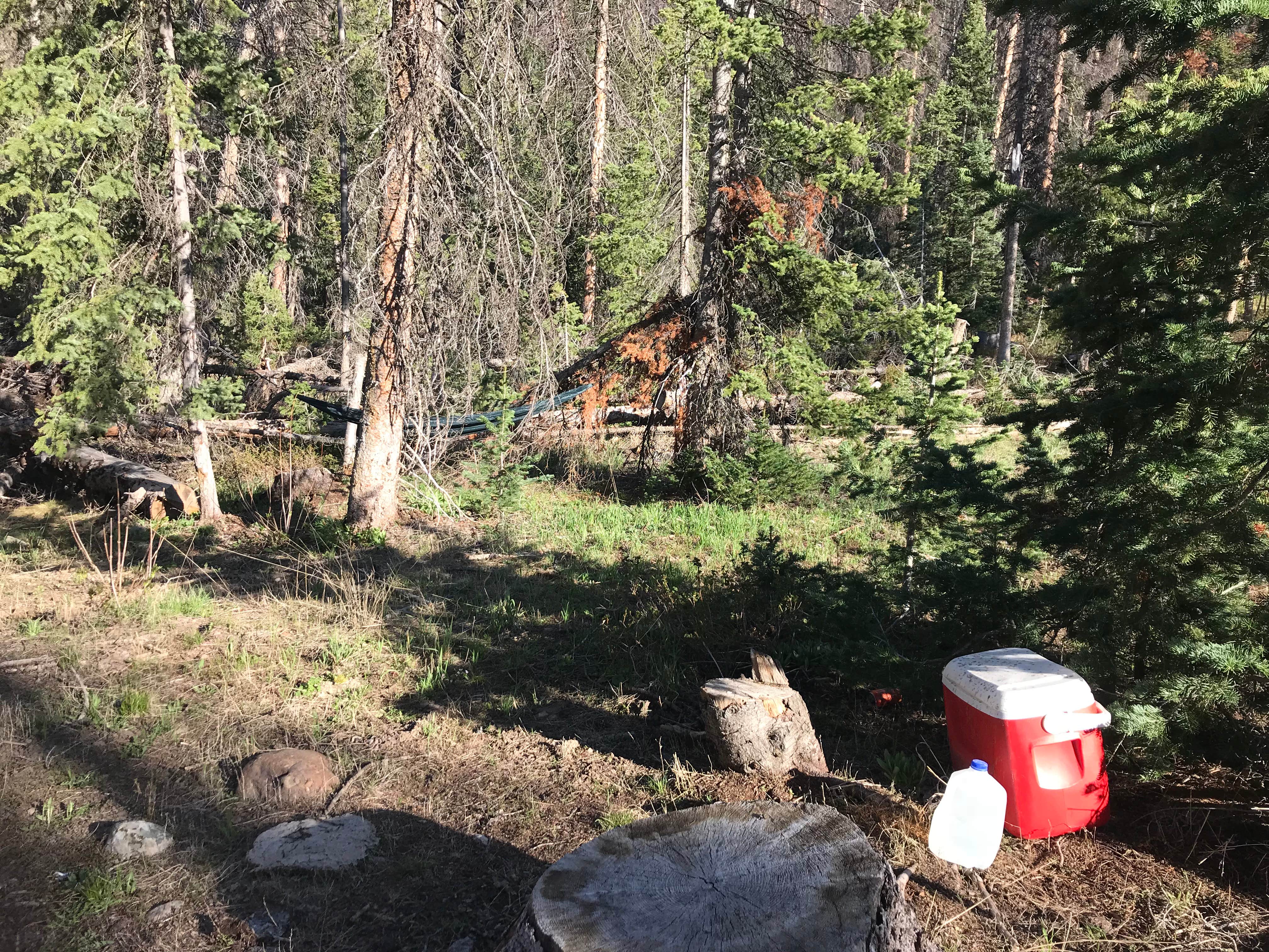 Camper-submitted photo at Dispersed Camping--Mill Hollow/Utah FR054 near Coalville, UT