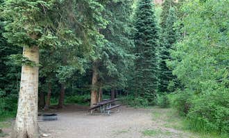 Camping near Coyote Outfitters: Snowslide Campground, Hesperus, Colorado