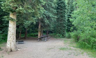 Camping near Echo Basin Cabin and RV Resort: Snowslide Campground, Hesperus, Colorado