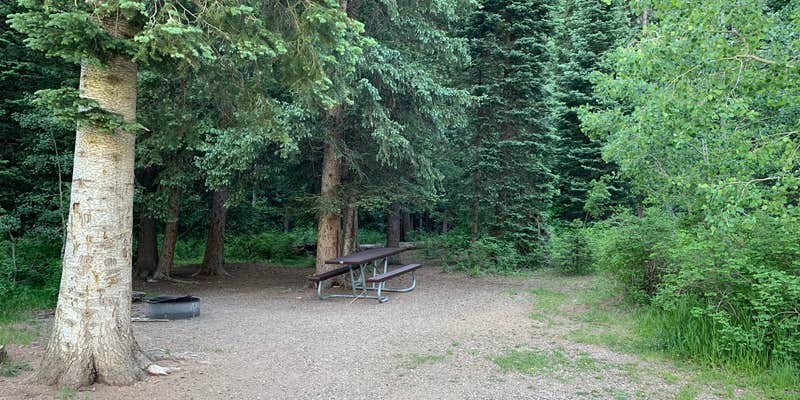 Camper submitted image from Snowslide Campground