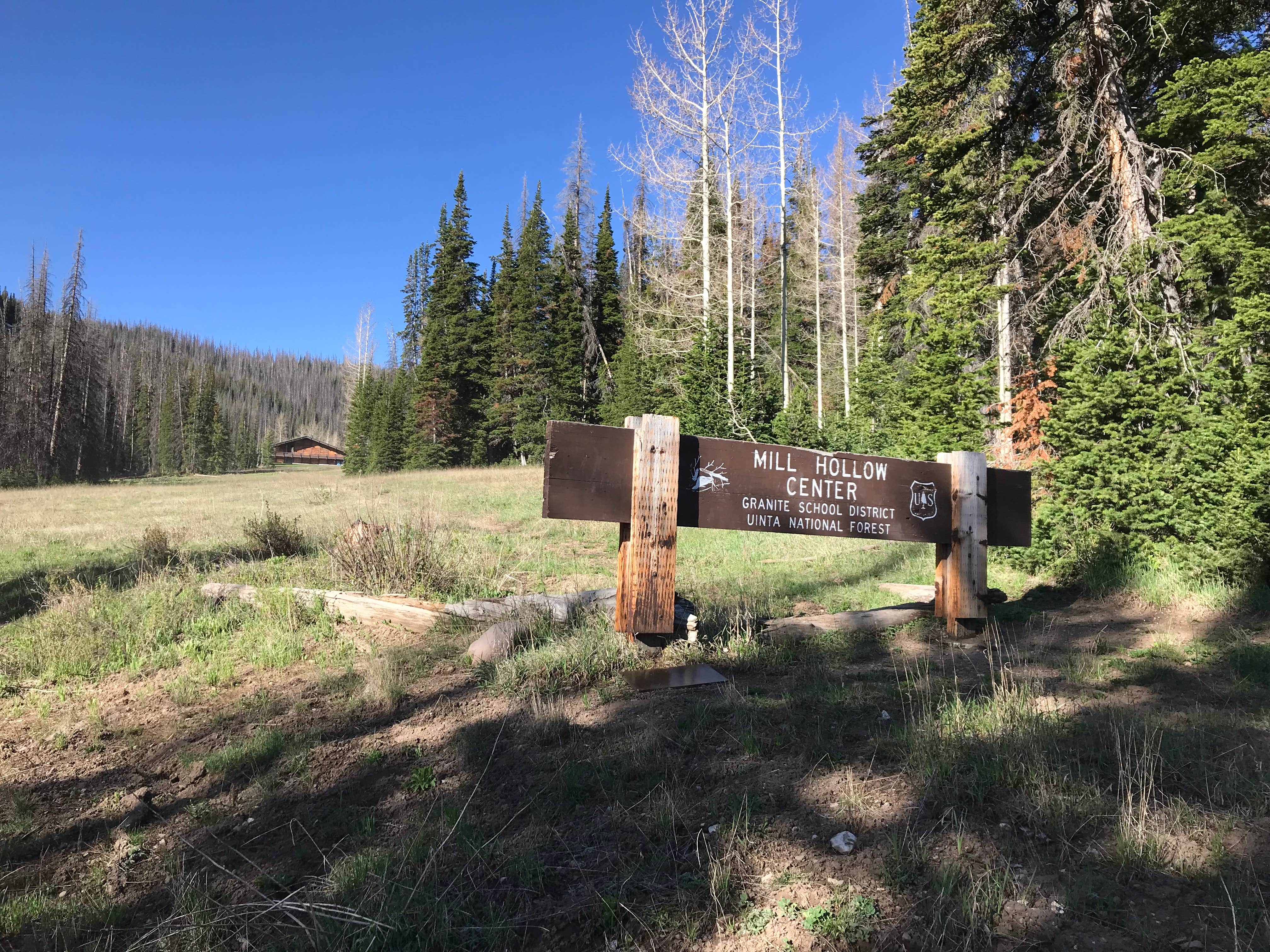 Camper-submitted photo at Dispersed Camping--Mill Hollow/Utah FR054 near Duchesne, UT