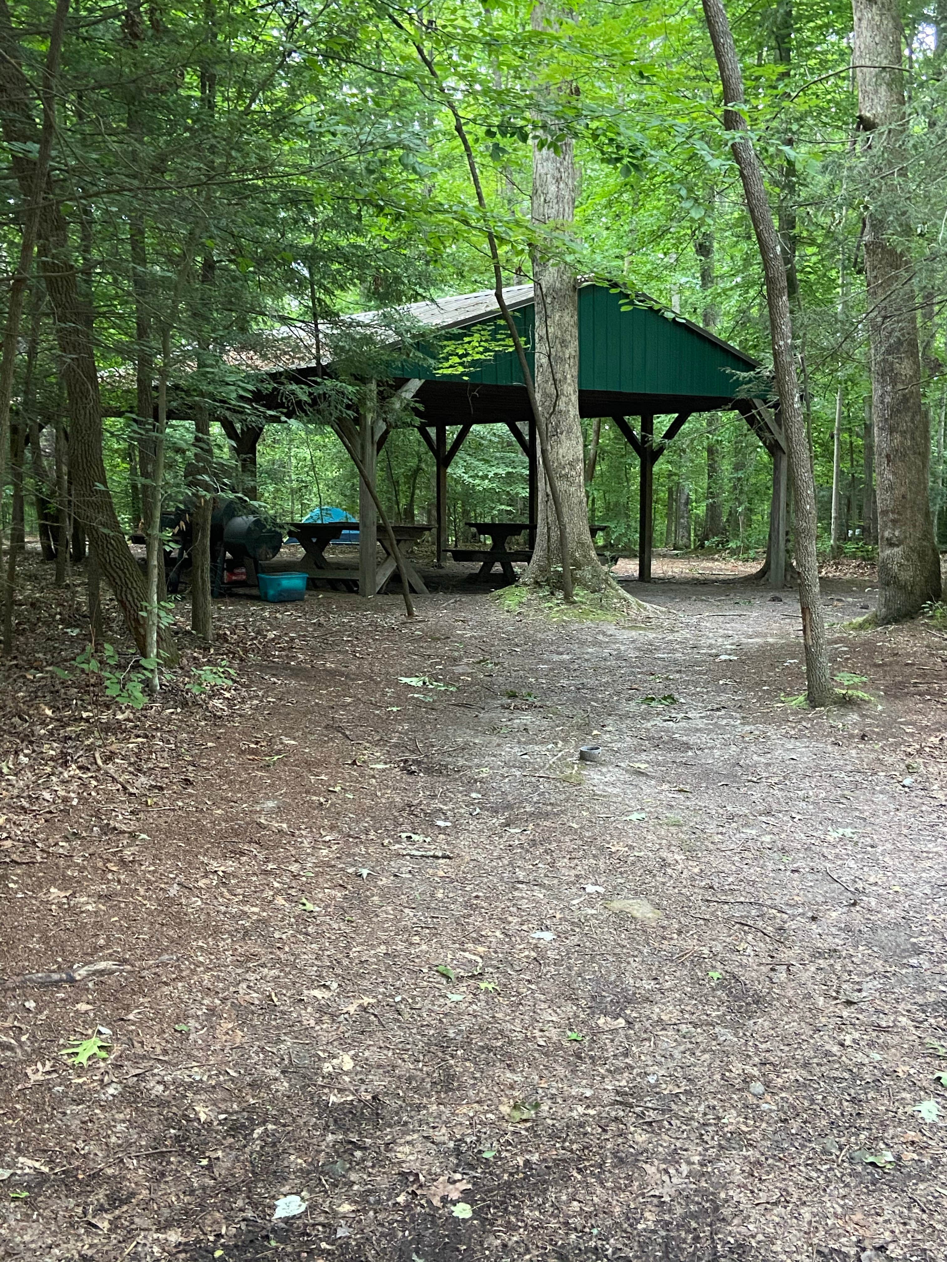 Camper submitted image from Chestnut Creek Campground - 4