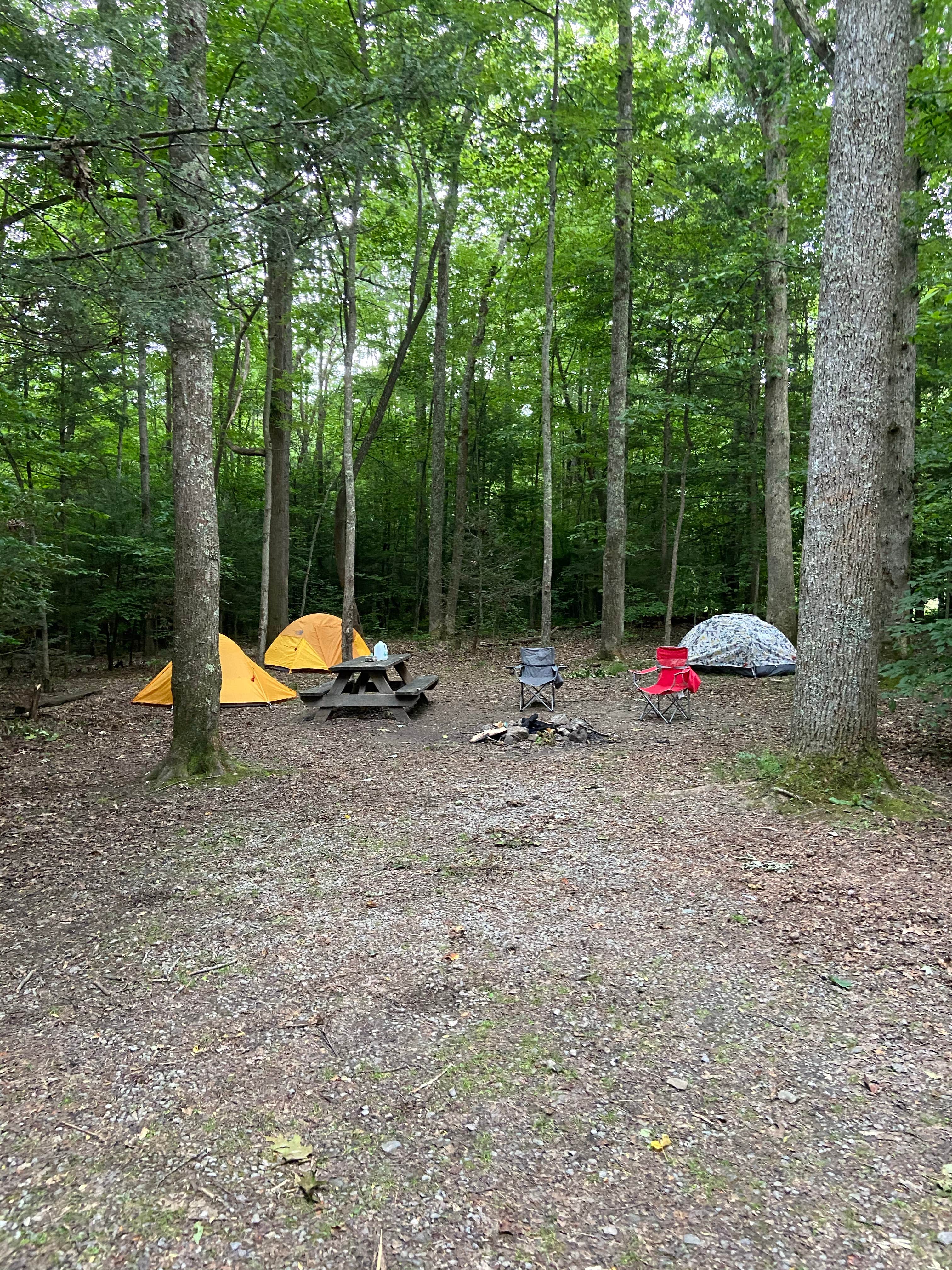 Matt C.'s photo of tent camping at Chestnut Creek Campground near Victor, WV