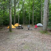 Review photo of Chestnut Creek Campground by Matt C., June 19, 2021