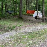 Review photo of Chestnut Creek Campground by Matt C., June 19, 2021