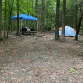 Review photo of Chestnut Creek Campground by Matt C., June 19, 2021