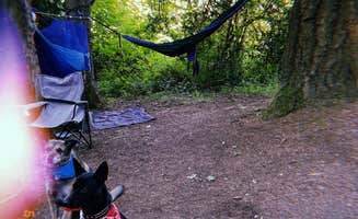 Henry H.'s photo of camping with pets at Paradise Point State Park Campground in Washington