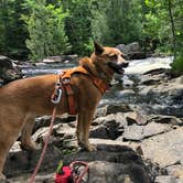 Review photo of Lake of the Falls County Park by Art S., June 19, 2021