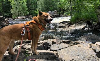 Art S.'s photo of camping with pets at Lake of the Falls County Park in Wisconsin