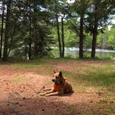 Review photo of Lake of the Falls County Park by Art S., June 19, 2021