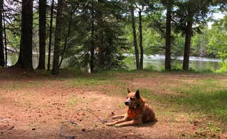 Art S.'s photo of camping with pets at Lake of the Falls County Park near Saxon, WI