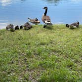 Review photo of Lake In Wood Resort by Donna M., June 19, 2021