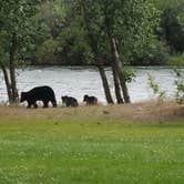Review photo of Wenatchee River County Park by Angel R., June 19, 2021