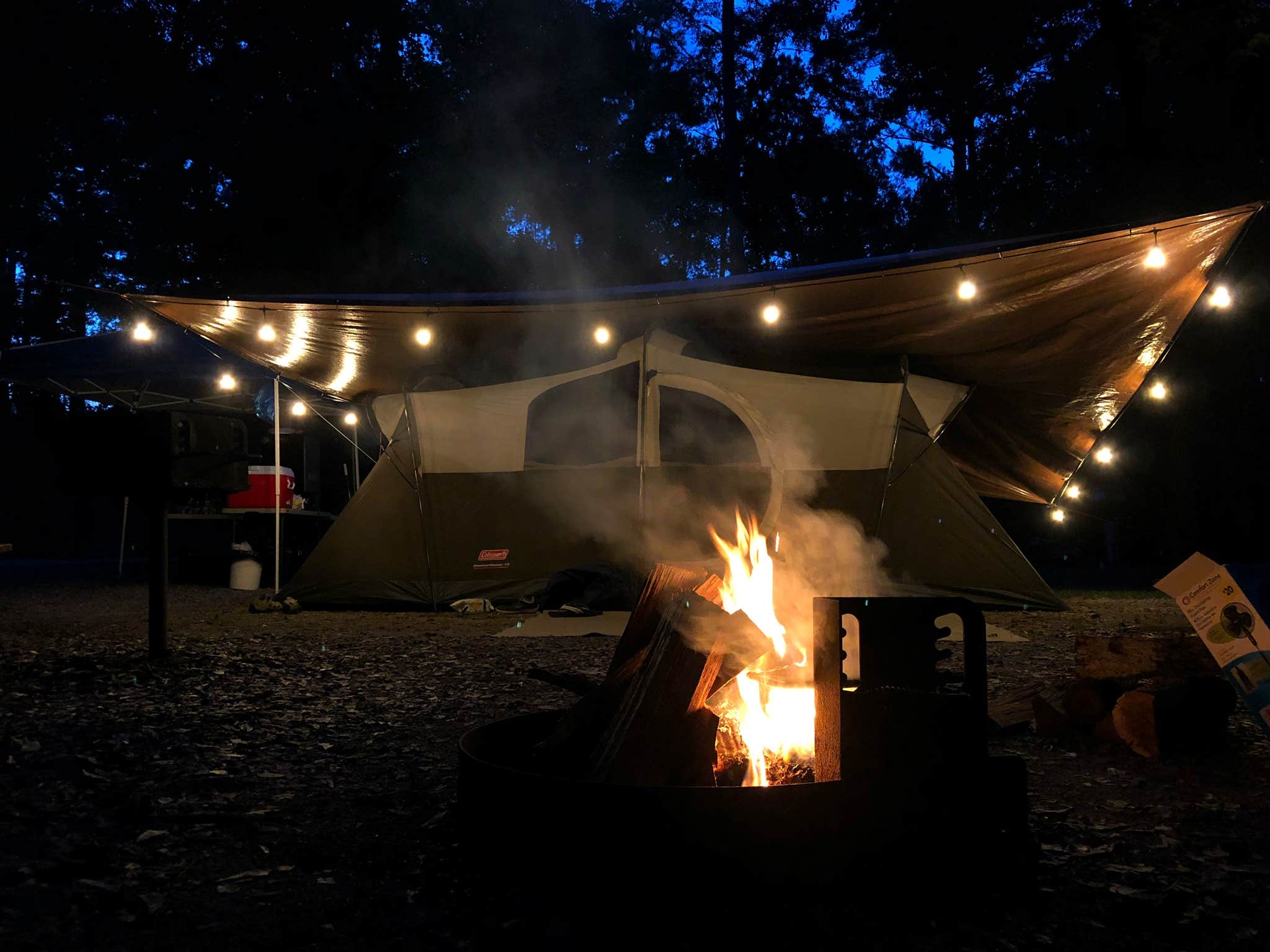 Camper submitted image from Florence Marina State Park Campground - 4