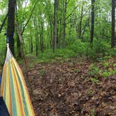 Review photo of Russell P Letterman Campground — Bald Eagle State Park by Nick S., June 10, 2018