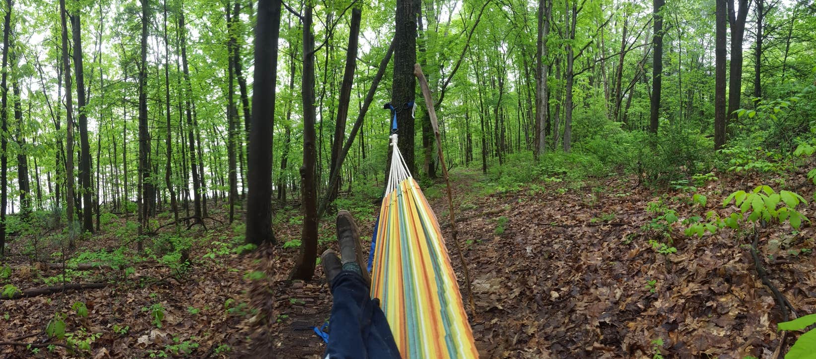 Camper submitted image from Russell P Letterman Campground — Bald Eagle State Park - 2