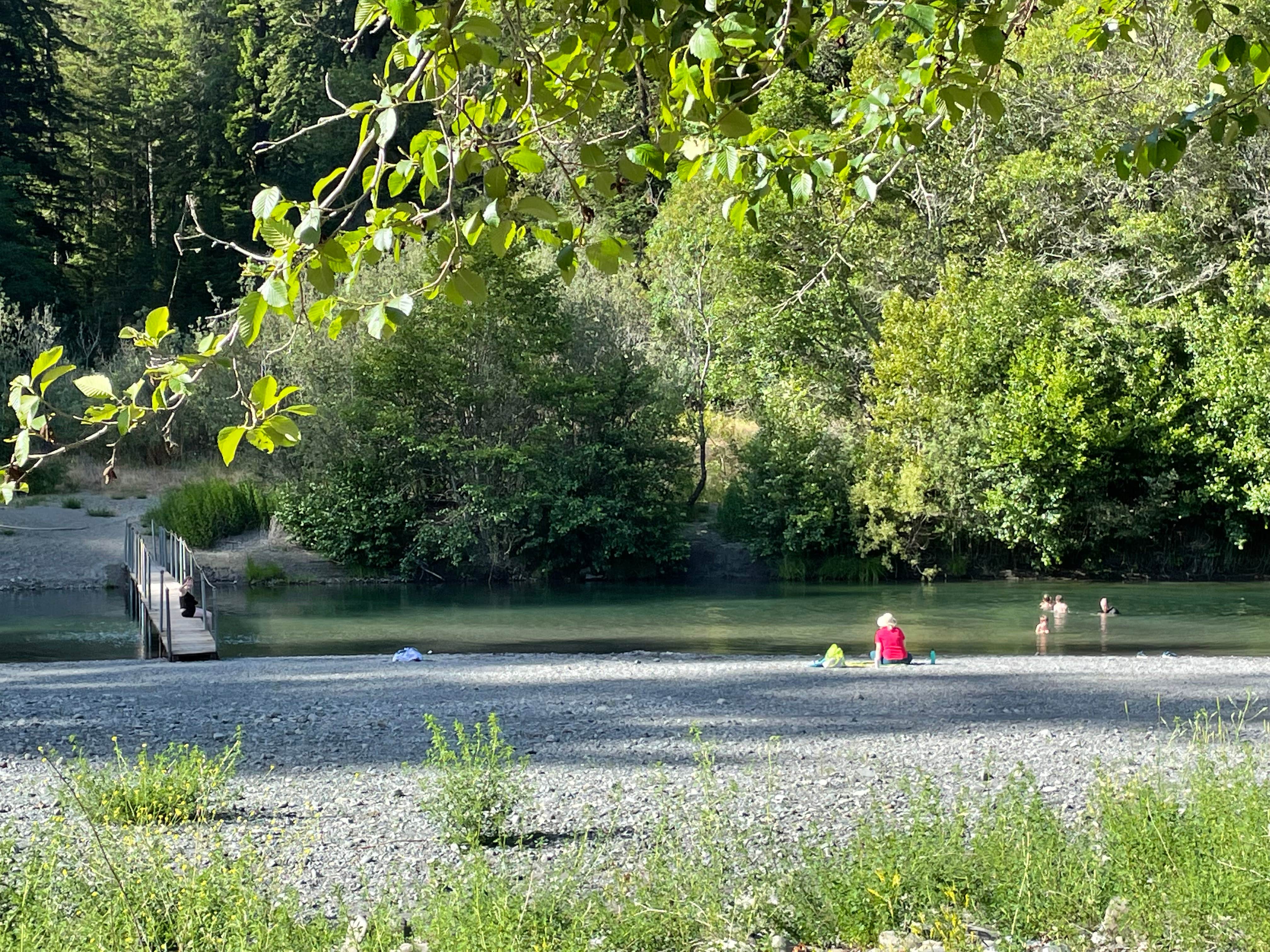 Camper submitted image from Grizzly Creek Redwoods State Park Campground - 5