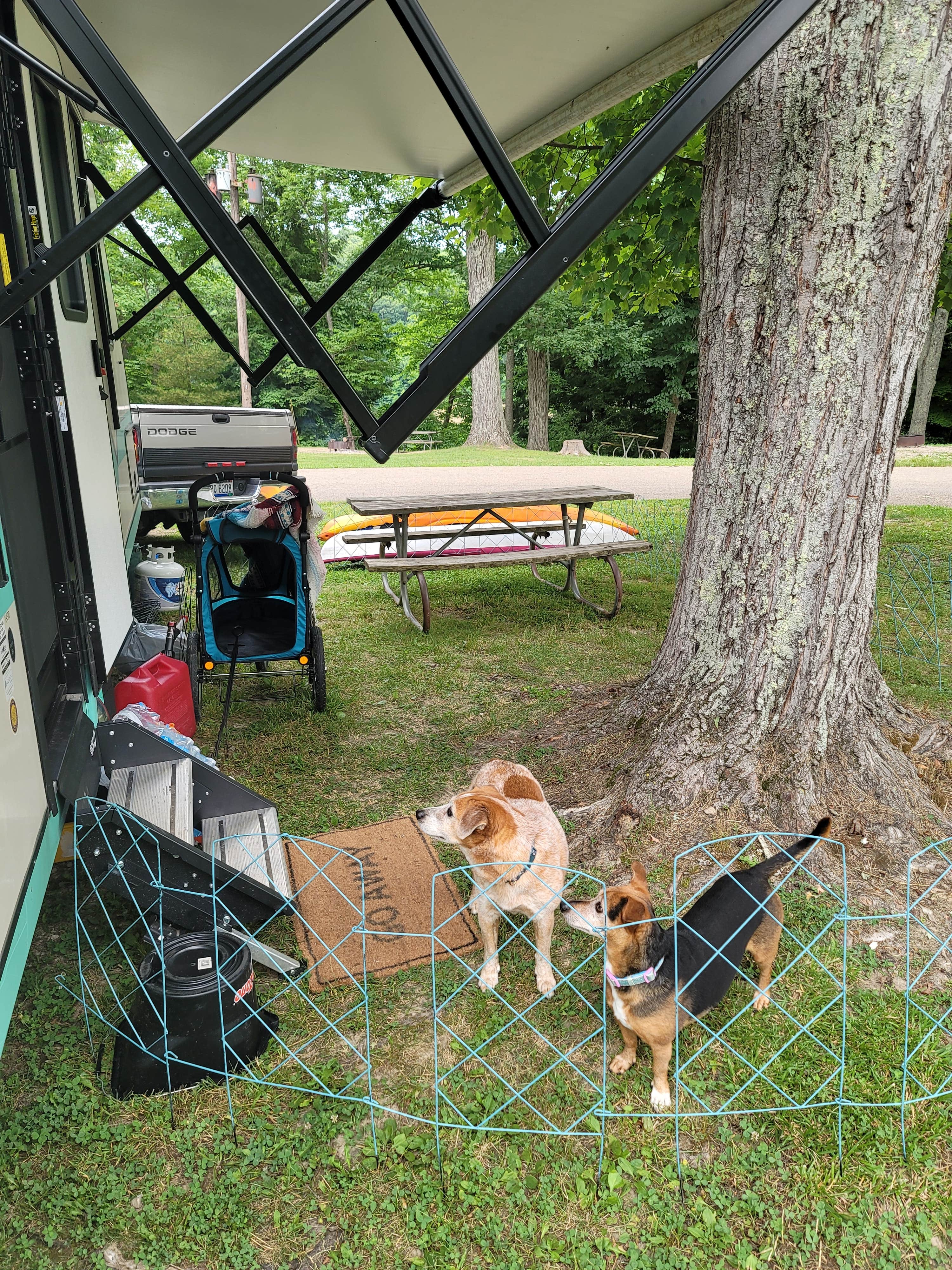 Amanda S.'s photo of camping with pets at Burr Oak State Park Campground near Ravenswood, WV