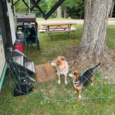 Review photo of Burr Oak State Park Campground by Amanda S., June 19, 2021