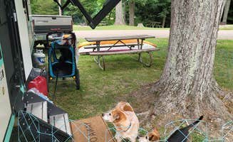 Amanda S.'s photo of camping with pets at Burr Oak State Park Campground near New Lexington, OH