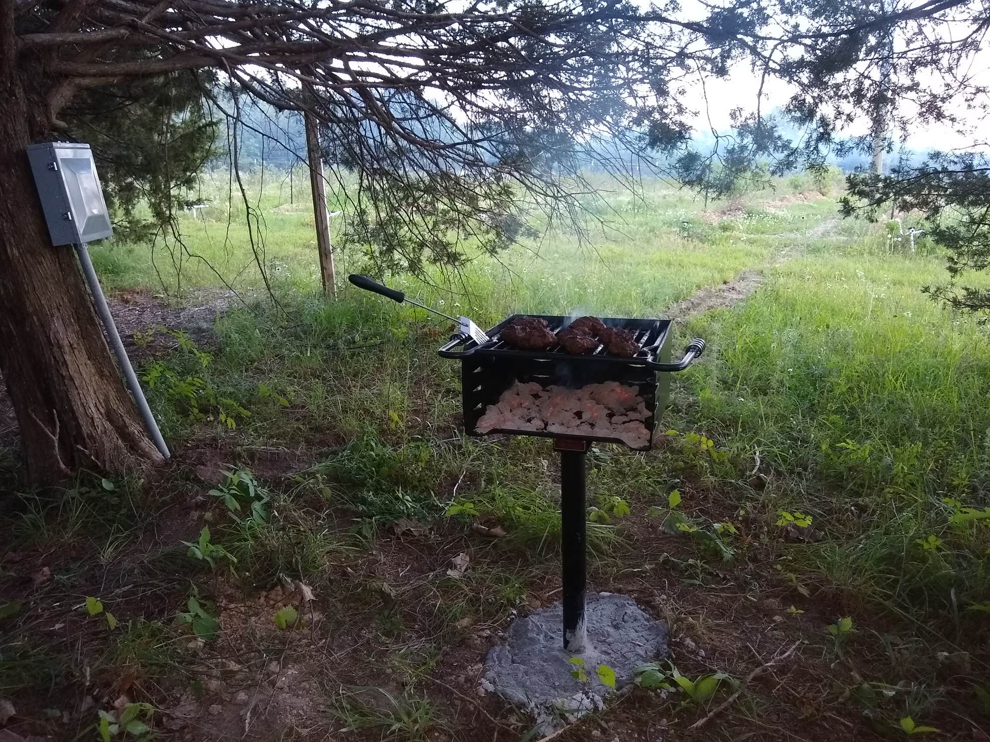 B Berry Farms & Co. Camping The Dyrt