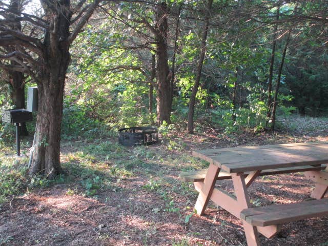 Camper submitted image from B Berry Farms & Co. - 3