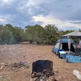 Review photo of Kaibab National Forest by Nik W., June 20, 2021