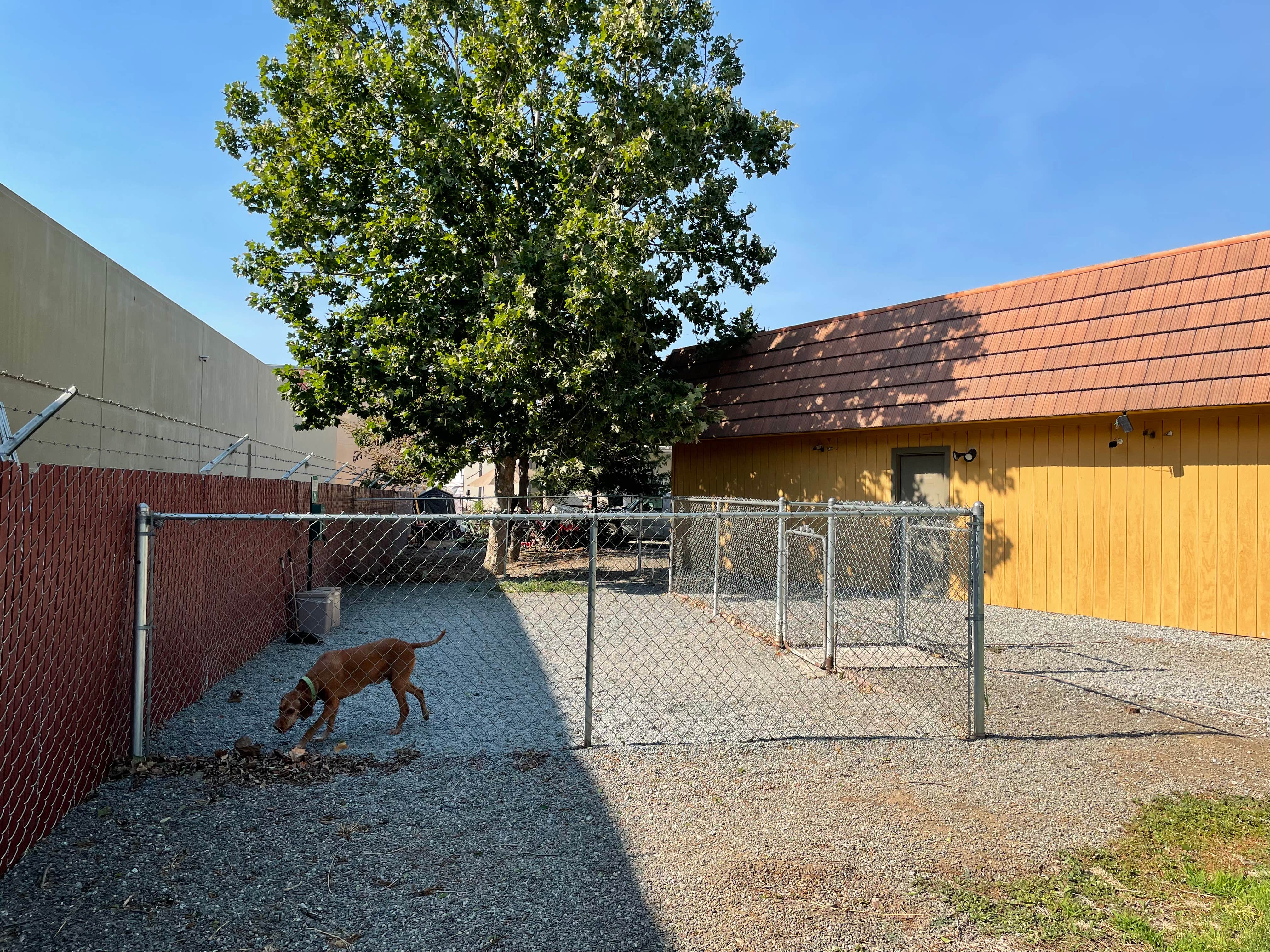 stephanie's photo of camping with pets at Gilroy Garlic USA RV Park near Los Banos, CA
