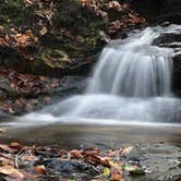 Review photo of Franklin D Roosevelt State Park Campground by George & Patty C., June 10, 2018