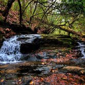 Review photo of Franklin D Roosevelt State Park Campground by George & Patty C., June 10, 2018