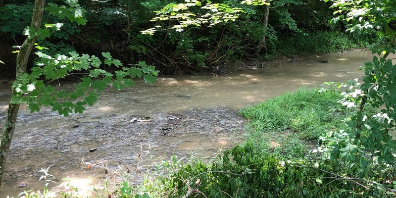 Camper submitted image from Oak Creek Campground