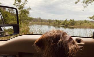 Falon N.'s photo of camping with pets at Green Swamp — Hampton Tract near Winter Haven, FL