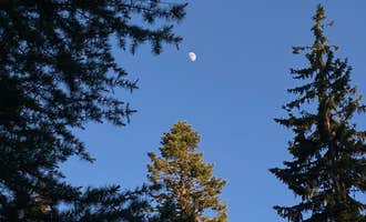 Camping near Mottet: McDougall Dispersed Camping, Weston, Oregon