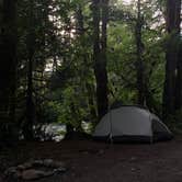 Review photo of Blue River Reservoir Roadside Camping by lauren C., June 20, 2021