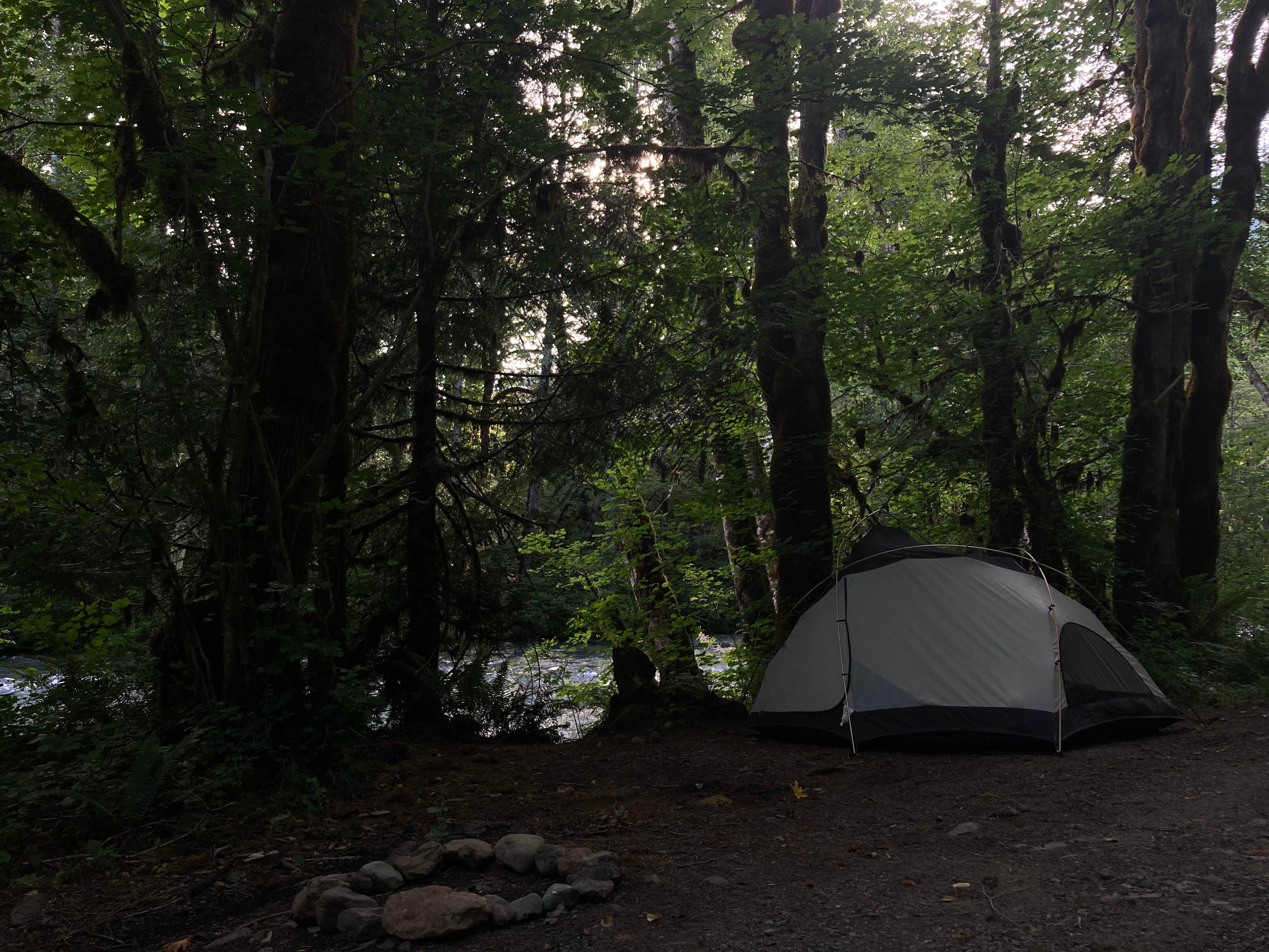Camper submitted image from Blue River Reservoir Roadside Camping - 2