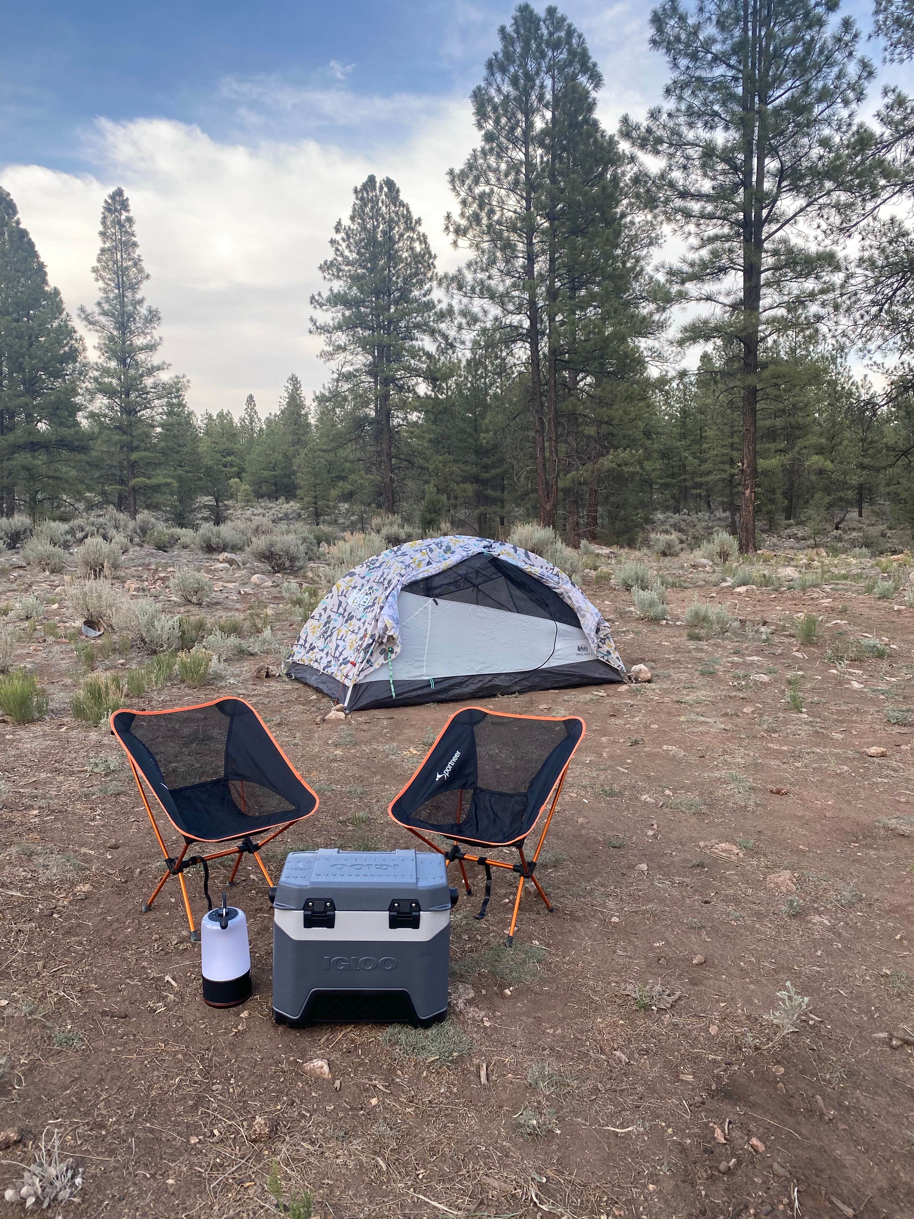 Jessica S.'s photo of tent camping at Forest Service Road 328 Dispersed near Grand Canyon National Park