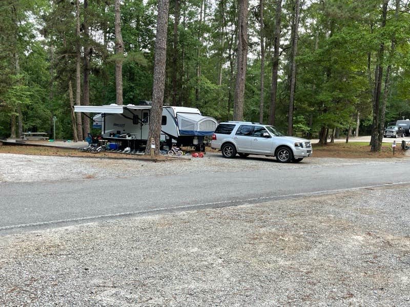 Camper submitted image from A. H. Stephens State Park Campground - 4
