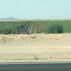 Farmland across the road
