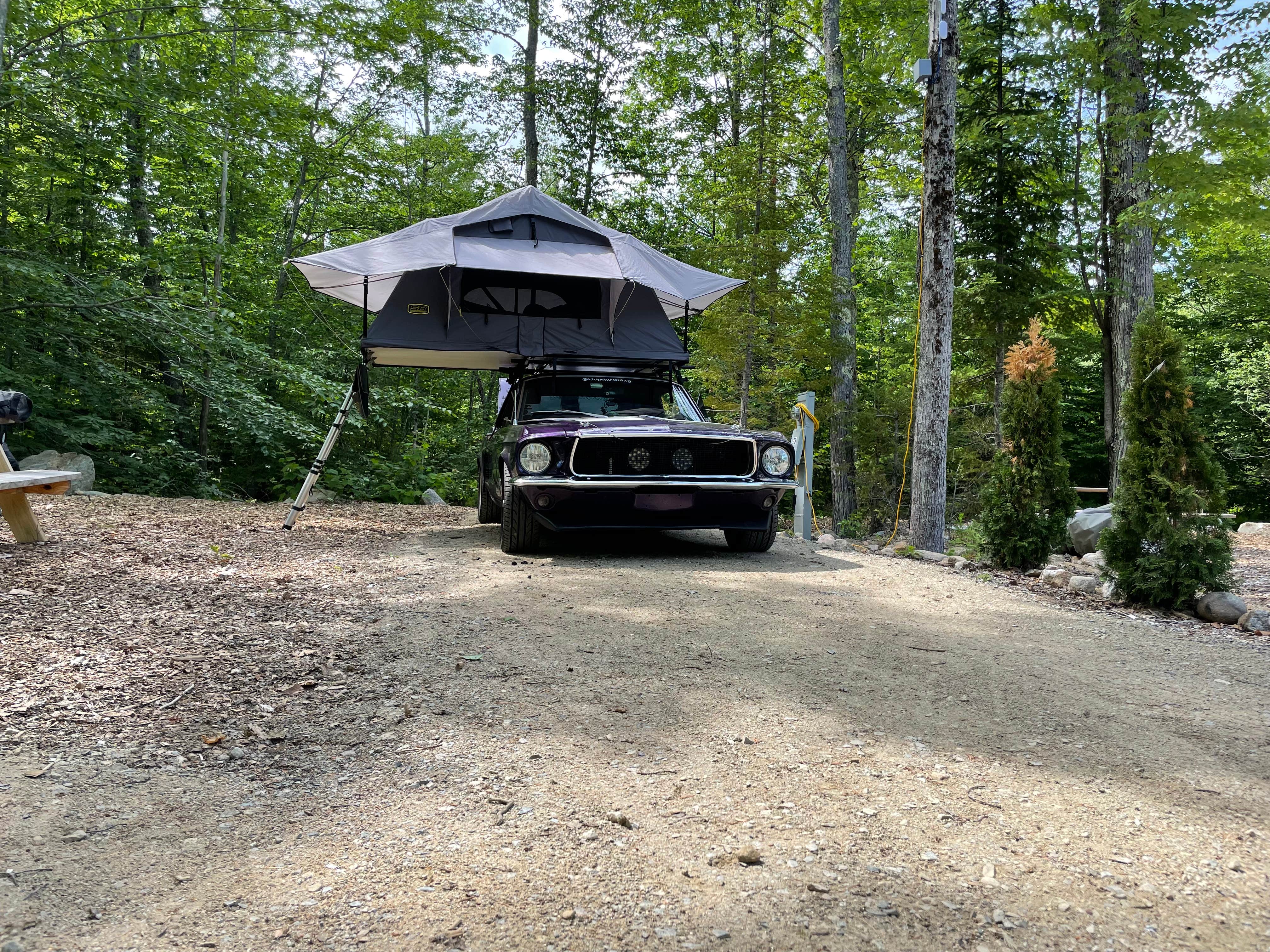 Camper submitted image from Riverbend Family Campground - 4