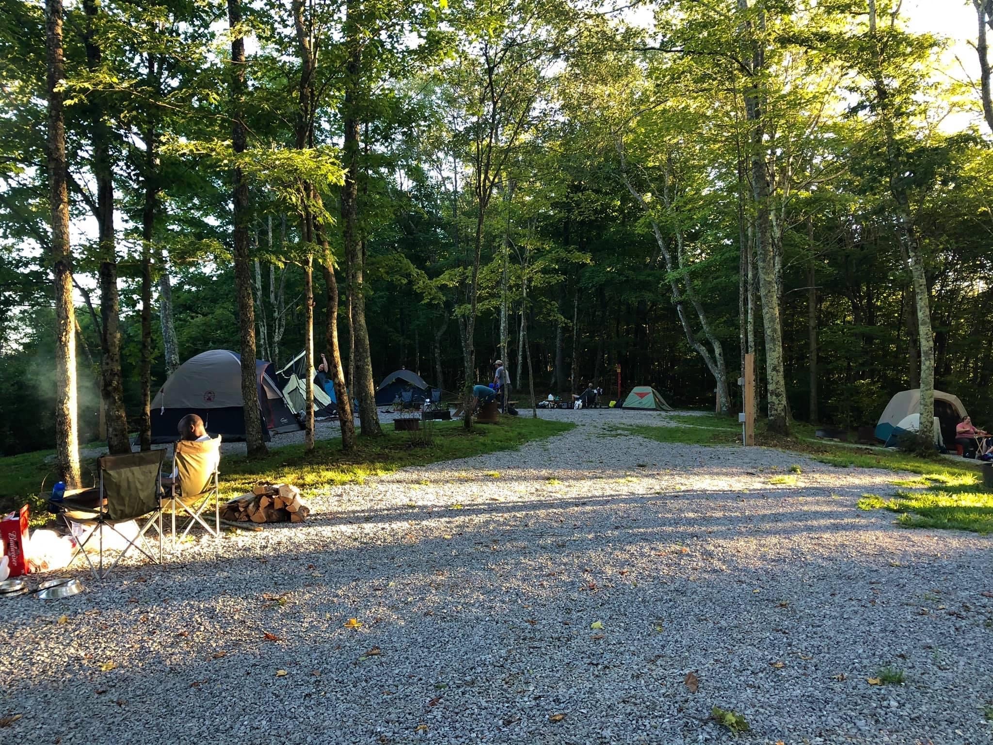 Camper submitted image from Back Ridge Shadows, LLC - 3