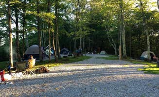 Cassie M.'s photo at Back Ridge Shadows, LLC in West Virginia