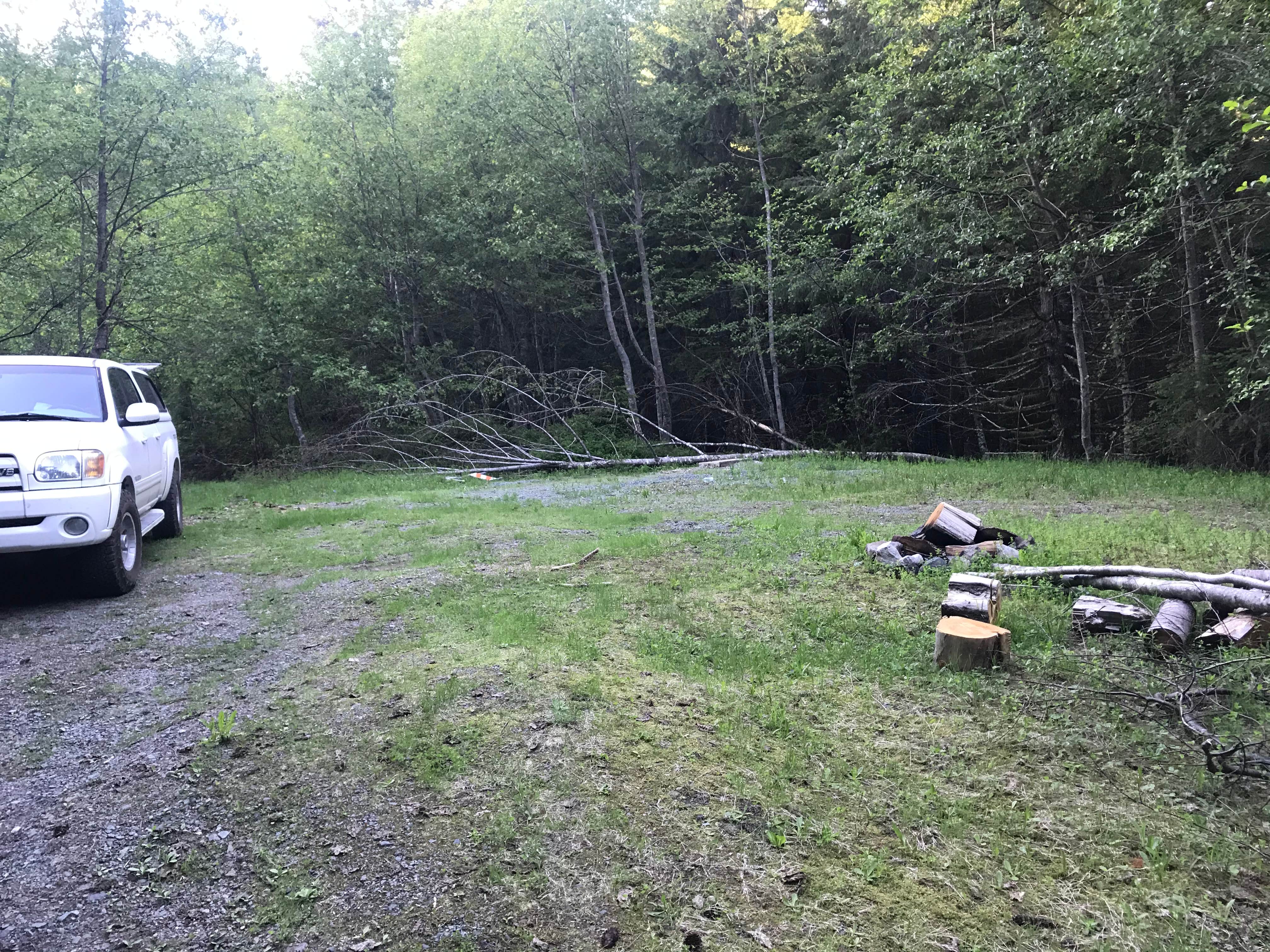 Camper submitted image from Mount St. Helens Dispersed Camping - 1