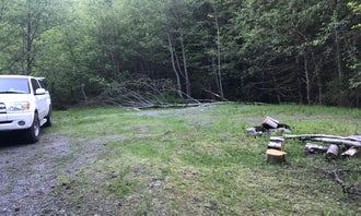 Camping near Lower Falls Campground: Mount St. Helens Dispersed Camping, Cougar, Washington